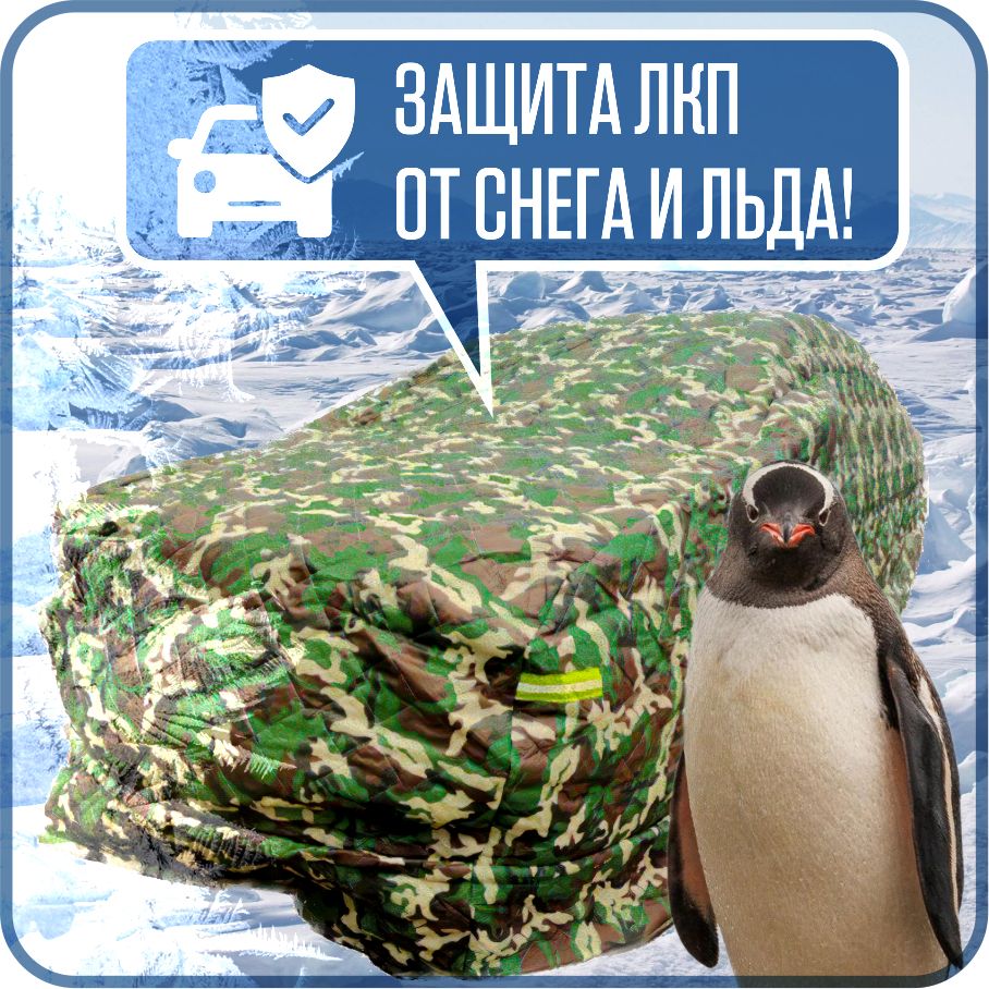Чехол на автомобиль